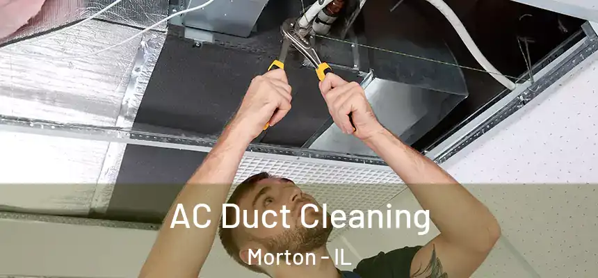  AC Duct Cleaning Morton - IL