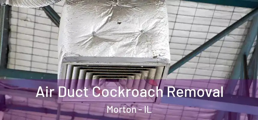  Air Duct Cockroach Removal Morton - IL