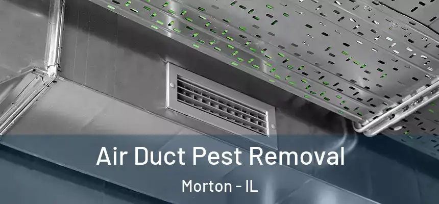  Air Duct Pest Removal Morton - IL