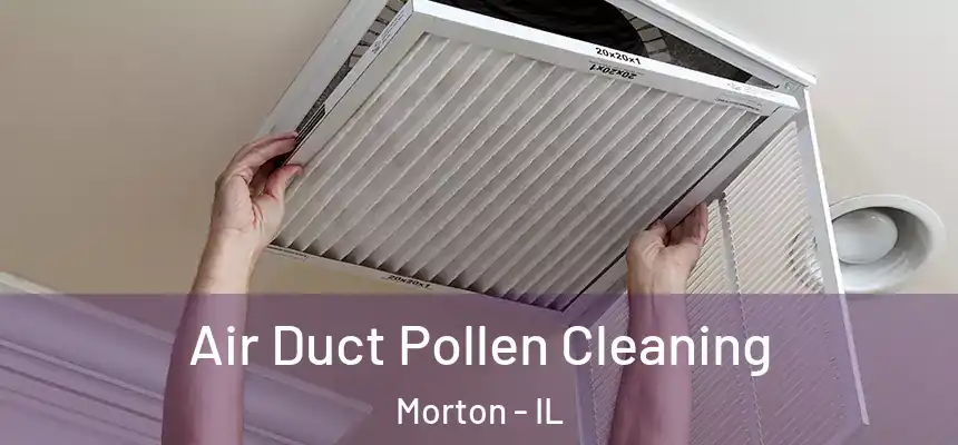  Air Duct Pollen Cleaning Morton - IL