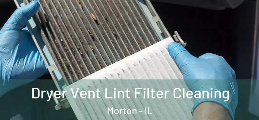  Dryer Vent Lint Filter Cleaning Morton - IL