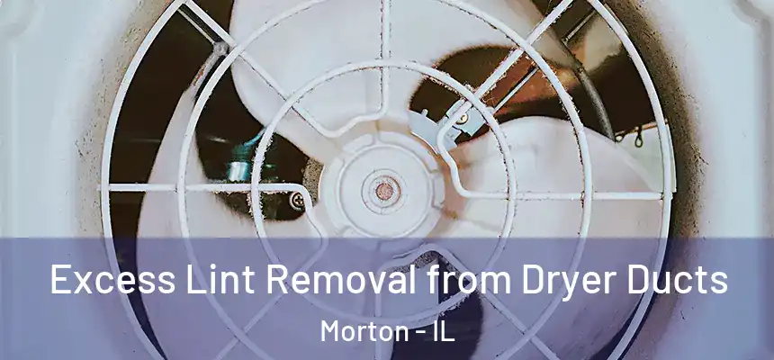 Excess Lint Removal from Dryer Ducts Morton - IL