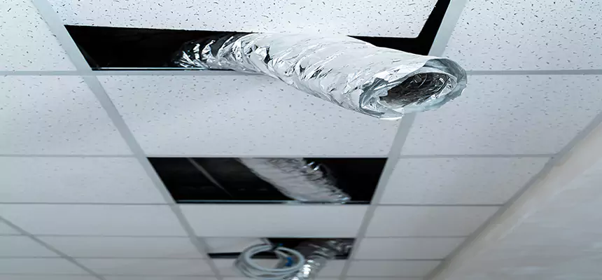 Our Air Duct Pet Hair Removal Services in Morton, IL