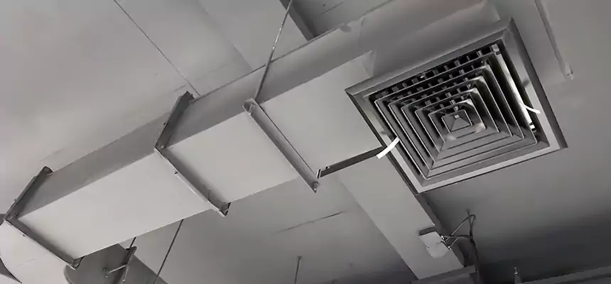 Restorative Allergy Relief Vent Cleaning – Coil, Blower & Housing Detail in Morton