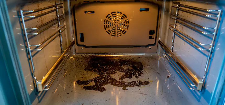 Our Dryer Vent Mold Cleaning Services in Morton, IL