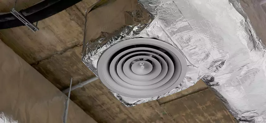 Our Excess Lint Removal from Dryer Ducts Services in Morton, IL
