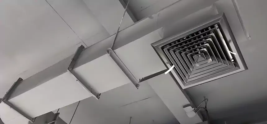 Our Pest Removal From Ducts Services in Morton, IL