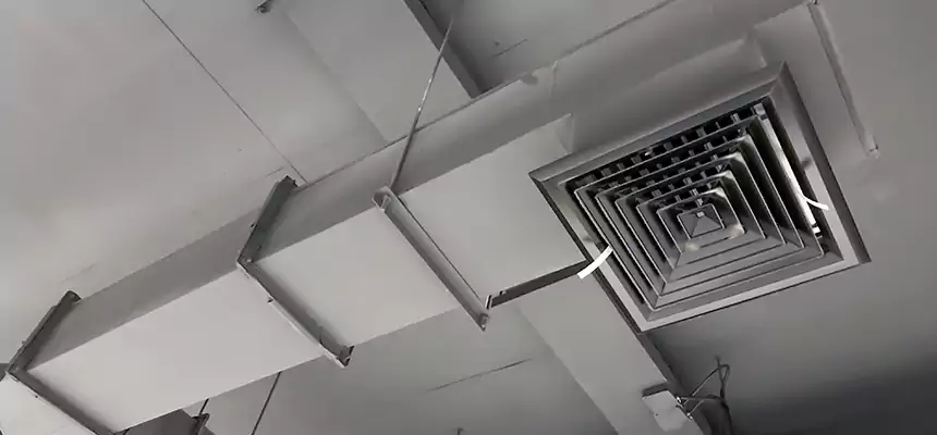 Our Rodent Droppings In Vents Services in Morton, IL