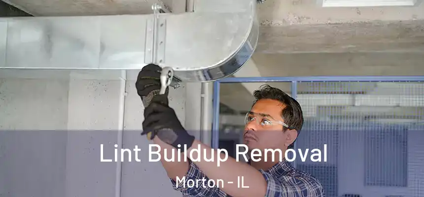  Lint Buildup Removal Morton - IL