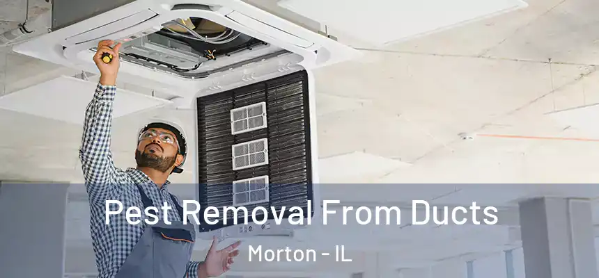  Pest Removal From Ducts Morton - IL