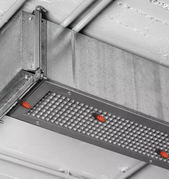 About Air Duct Cockroach Removal in Morton, IL
