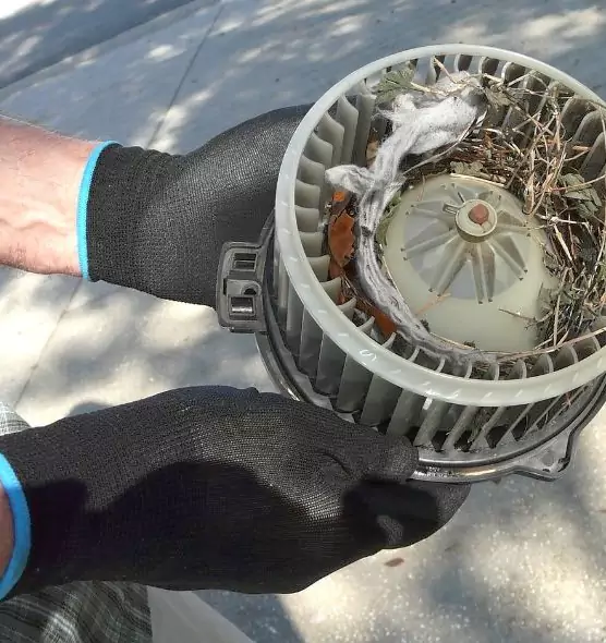 About Air Duct Mice Removal in Morton, IL