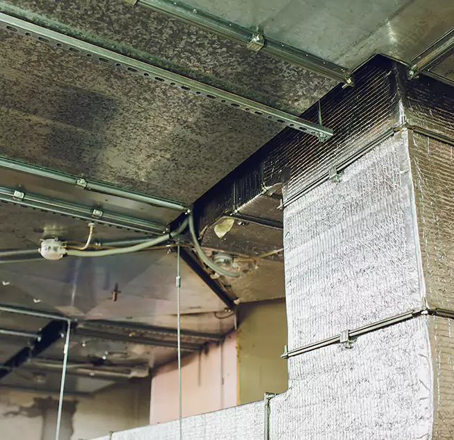 Why Homeowners & Businesses Trust Us in Morton, IL?