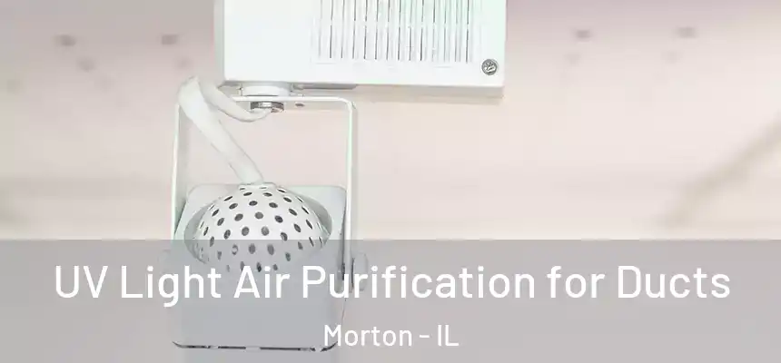  UV Light Air Purification for Ducts Morton - IL